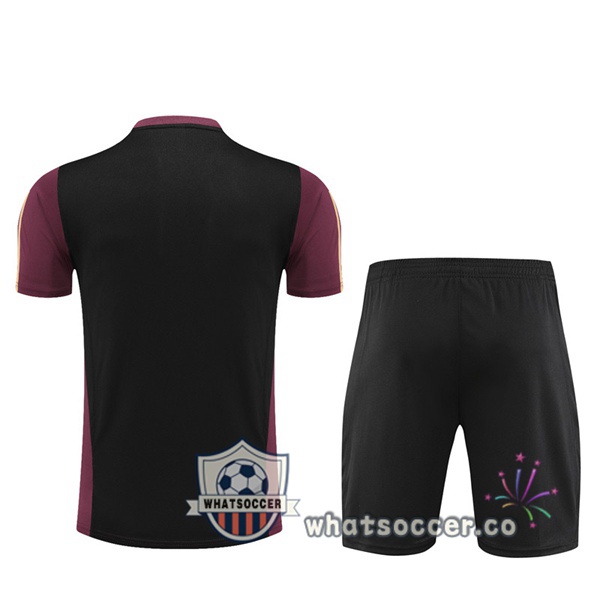 Germany Training T-Shirts + Shorts Red 2023-2024