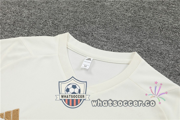 Germany Training T-Shirts + Shorts White 2023-2024
