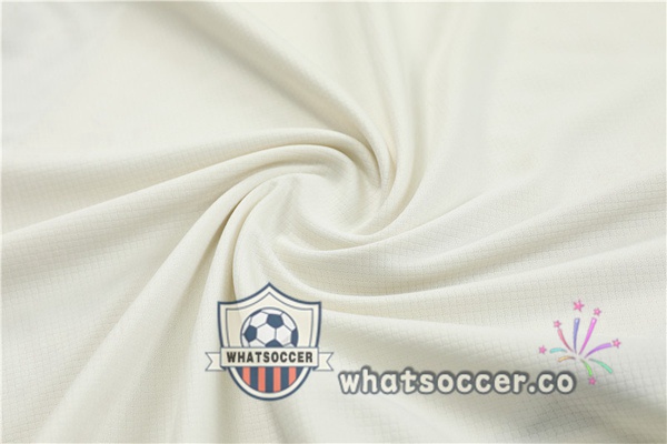 Germany Training T-Shirts + Shorts White 2023-2024
