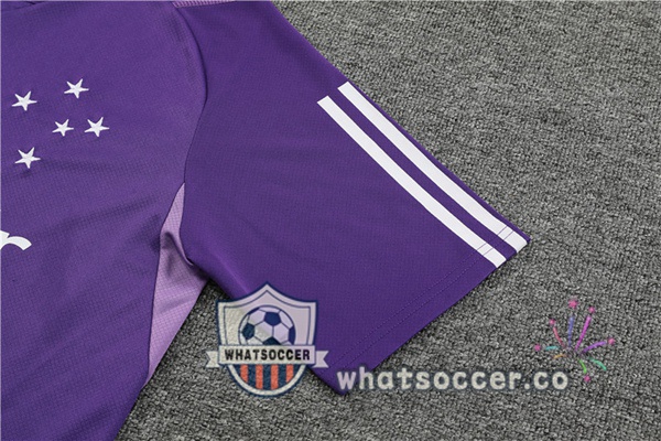 Cruzeiro EC Training T-Shirts + Shorts Purple 2023-2024