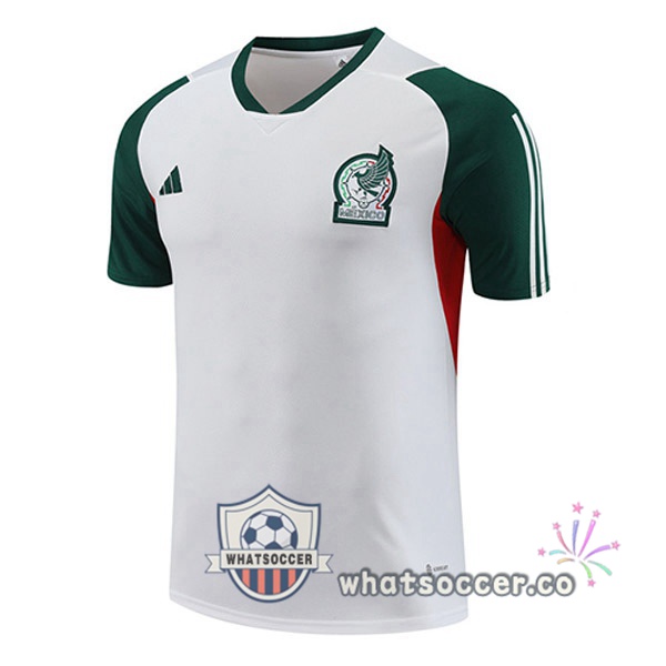 Mexico Training T-Shirts White 2023-2024