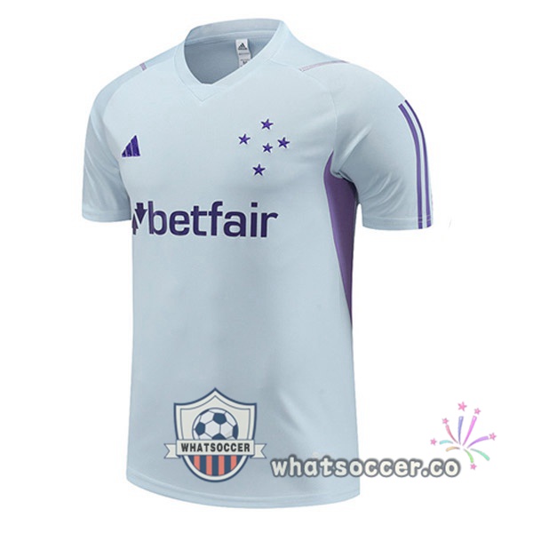 Cruzeiro EC Training T-Shirts Gray 2023-2024