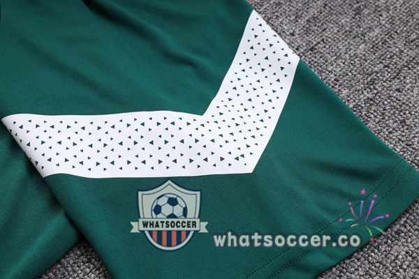 Training Polo Palmeiras + Pants Green 2023-2024