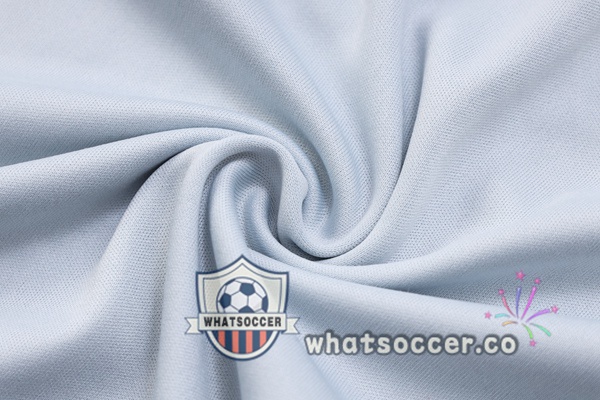 Training Polo Palmeiras + Pants Gray 2023-2024