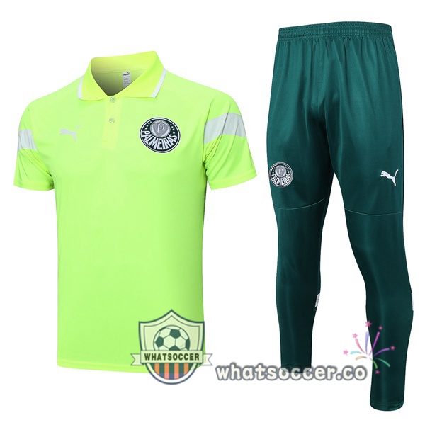 Training Polo Palmeiras + Pants Green 2023-2024