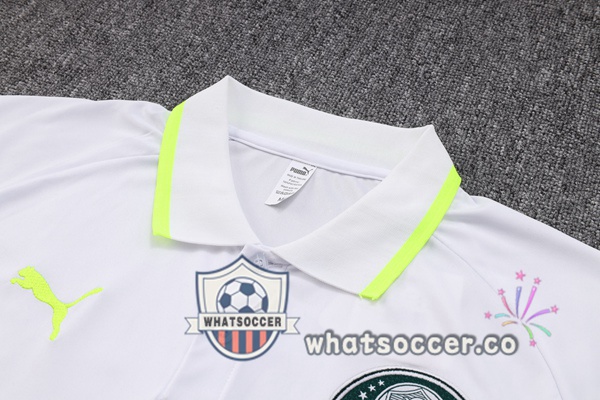 Training Polo Palmeiras + Pants Gray 2023-2024