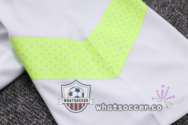 Training Polo Palmeiras + Pants Gray 2023-2024