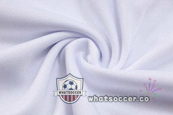 Training Polo Palmeiras + Pants Gray 2023-2024