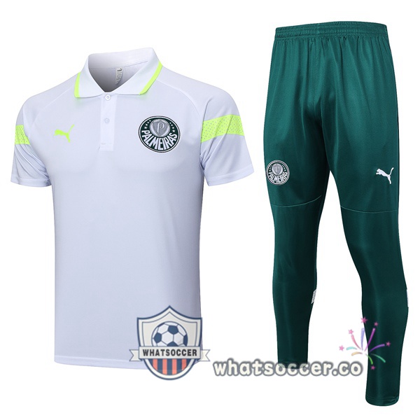 Training Polo Palmeiras + Pants Gray 2023-2024