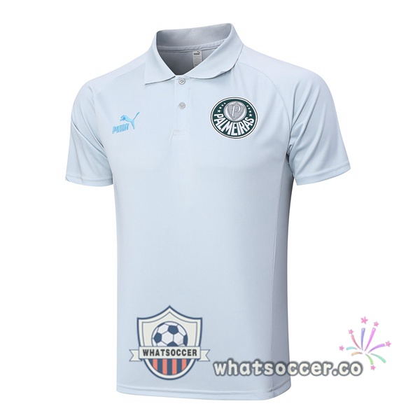 Training Polo Palmeiras Gray 2023-2024