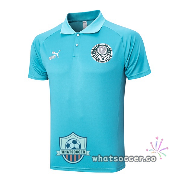 Training Polo Palmeiras Green 2023-2024