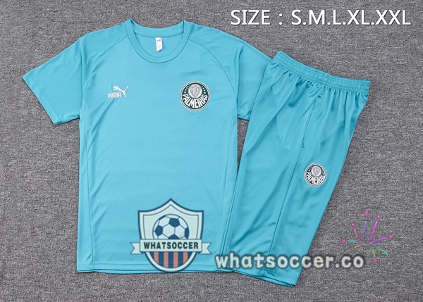 Palmeiras Training T-Shirts + Shorts Cyan 2023-2024