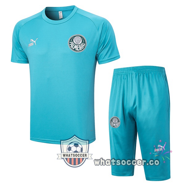 Palmeiras Training T-Shirts + Shorts Cyan 2023-2024