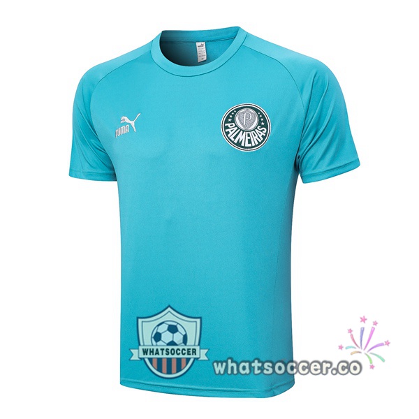 Palmeiras Training T-Shirts Cyan 2023-2024