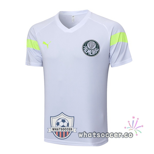 Palmeiras Training T-Shirts White 2023-2024