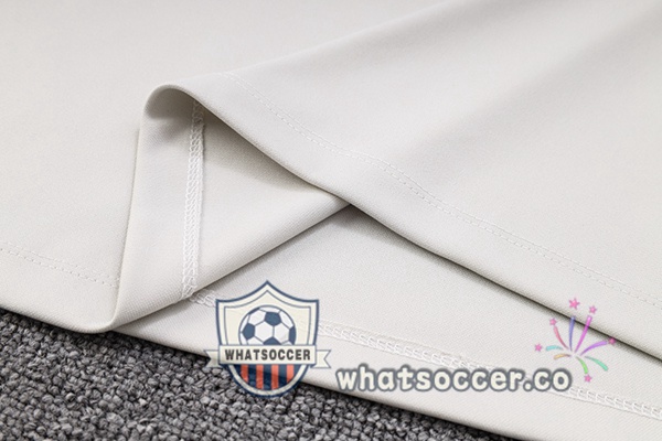 FC Barcelona Gray Tracksuit 2023-2024