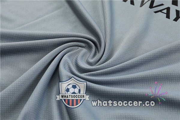 JORDAN Paris PSG Training T-Shirts + Shorts Gray 2023-2024