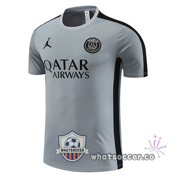 JORDAN Paris PSG Training T-Shirts Gray 2023-2024