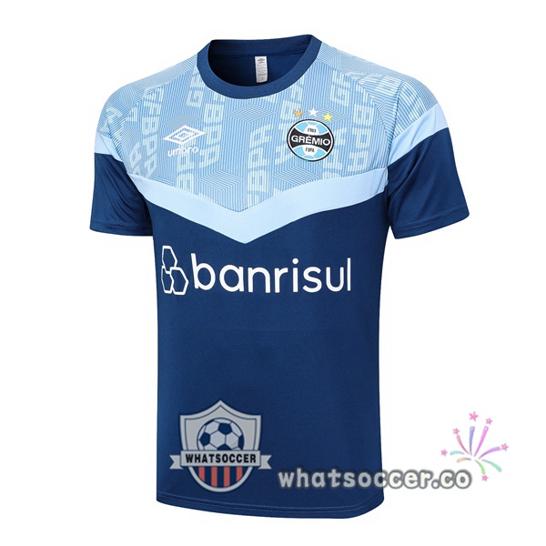 Gremio Training T-Shirts Blue 2023-2024