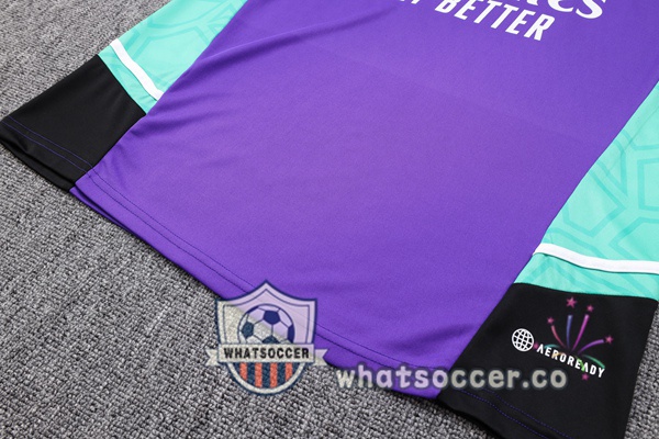 Real Madrid + Shorts Purple Soccer Vest 2023-2024