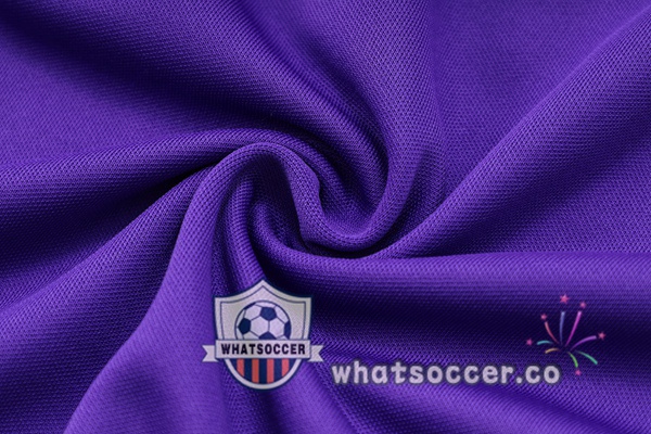 Real Madrid + Shorts Purple Soccer Vest 2023-2024