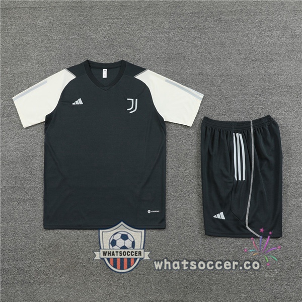 Juventus Training T-Shirts + Shorts Gray 2023-2024