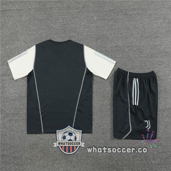 Juventus Training T-Shirts + Shorts Gray 2023-2024
