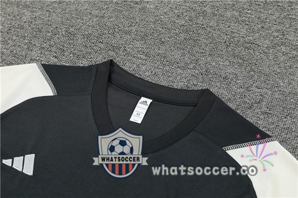 Juventus Training T-Shirts + Shorts Gray 2023-2024