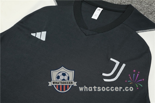 Juventus Training T-Shirts + Shorts Gray 2023-2024