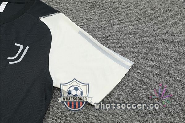 Juventus Training T-Shirts + Shorts Gray 2023-2024