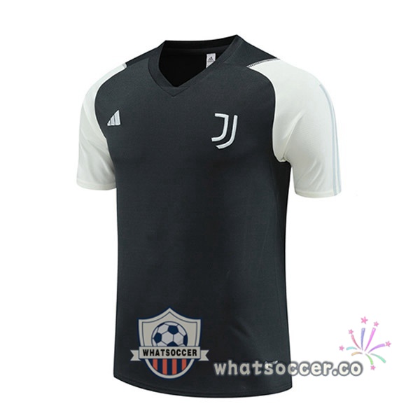 Juventus Training T-Shirts Gray 2023-2024