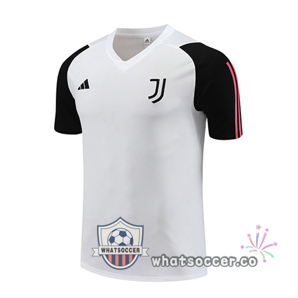 Juventus Training T-Shirts White 2023-2024