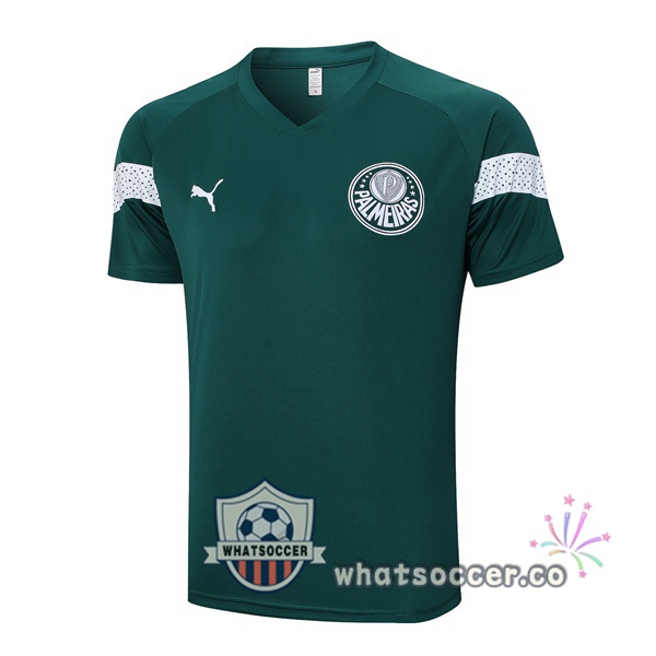 Palmeiras Training T-Shirts Green 2023-2024