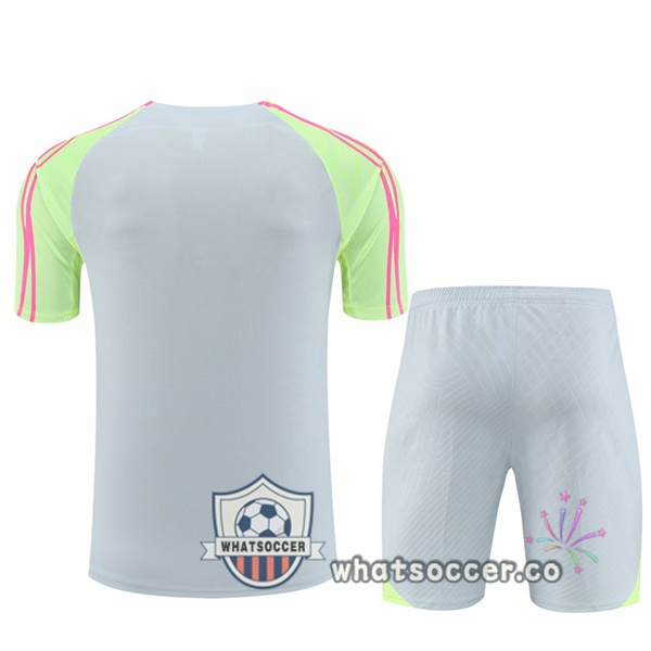 Paris PSG Training T-Shirts + Shorts Gray 2023-2024