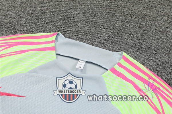 Paris PSG Training T-Shirts + Shorts Gray 2023-2024