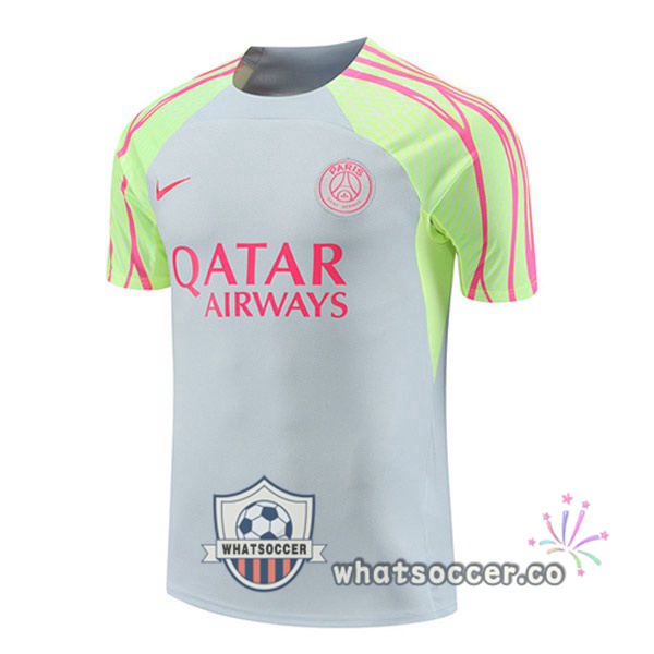 Paris PSG Training T-Shirts Gray 2023-2024