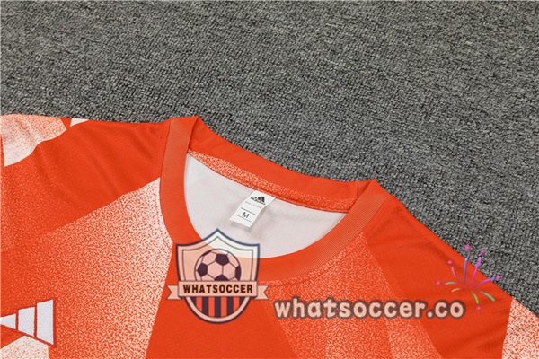Bayern Munich Training T-Shirts + Shorts Orange 2023-2024