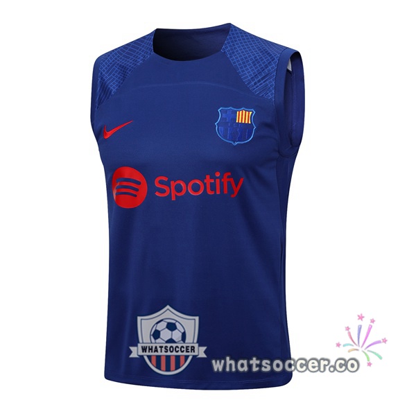 FC Barcelona Soccer Vest Blue 2023-2024