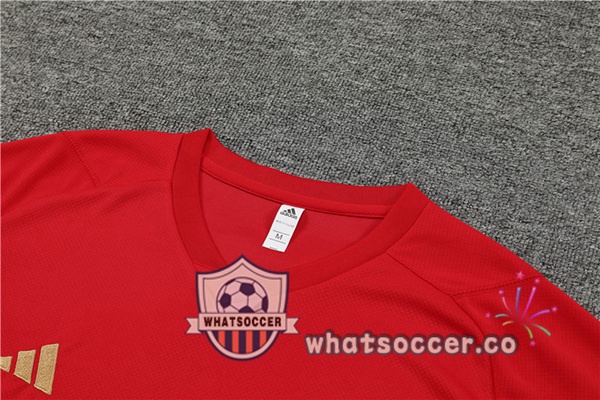 Arsenal Training T-Shirts + Shorts Red 2023-2024