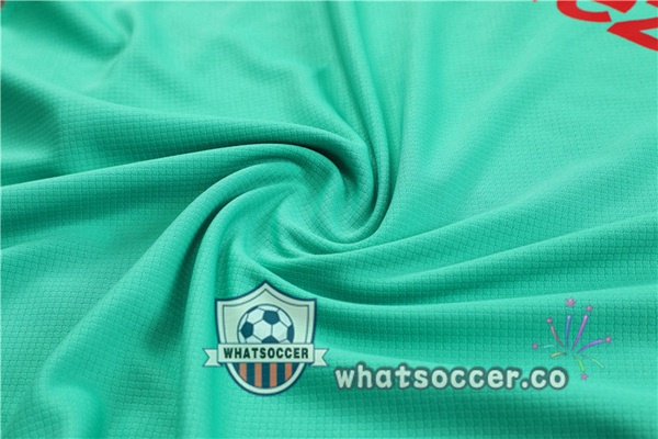 Manchester United Training T-Shirts + Shorts Green 2023-2024