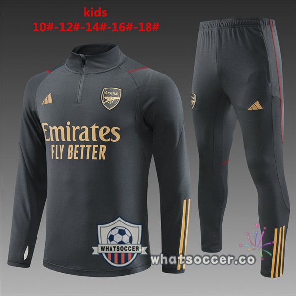 Training Jacket Arsenal Kids Gray 2023-2024