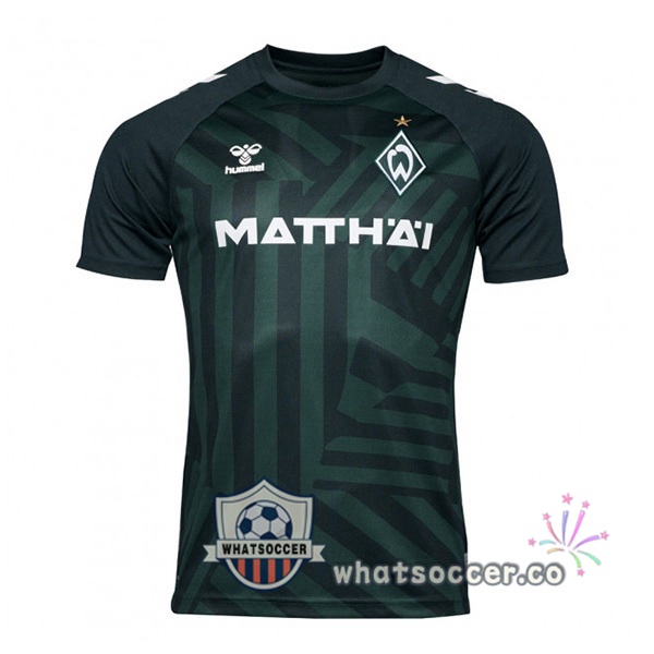 SV Werder Bremen Third Soccer Jerseys Green 2023-2024