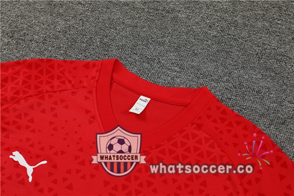 AC Milan Training T-Shirts + Shorts Red 2023-2024