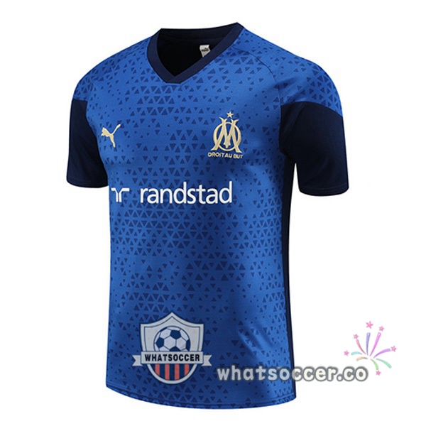 Olympique de Marseille Training T-Shirts Blue Royal 2023-2024