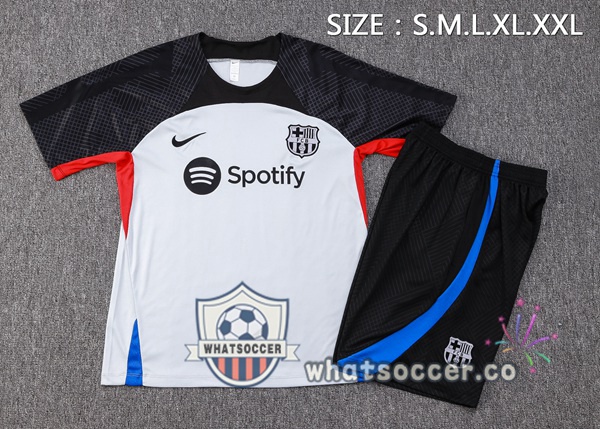 FC Barcelona Training T-Shirts + Shorts Gray 2023-2024