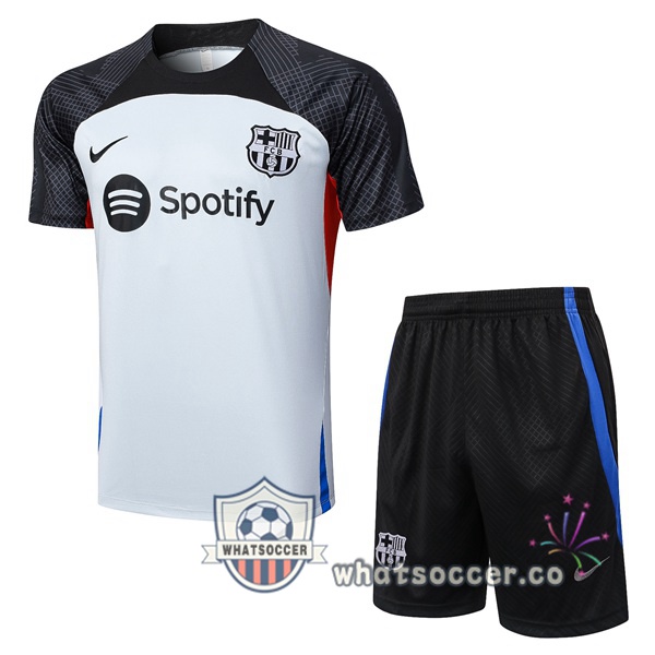 FC Barcelona Training T-Shirts + Shorts Gray 2023-2024