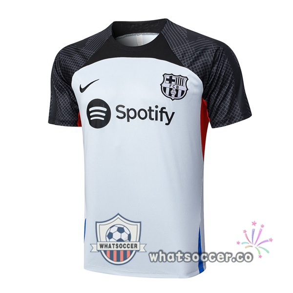 FC Barcelona Training T-Shirts Gray 2023-2024