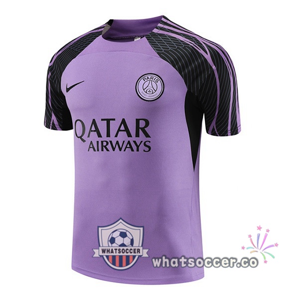 Paris PSG Training T-Shirts Purple 2023-2024