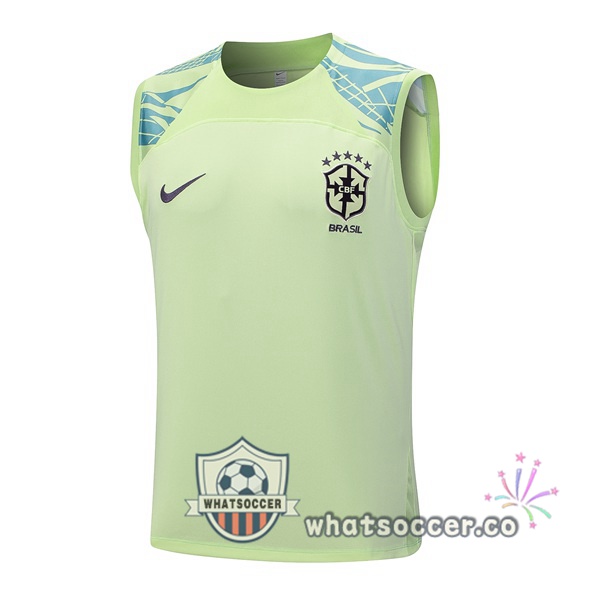 Brazil Soccer Vest Blue Green 2023-2024