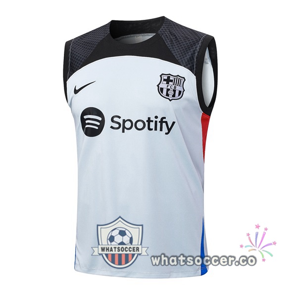 FC Barcelona Soccer Vest Gray 2023-2024
